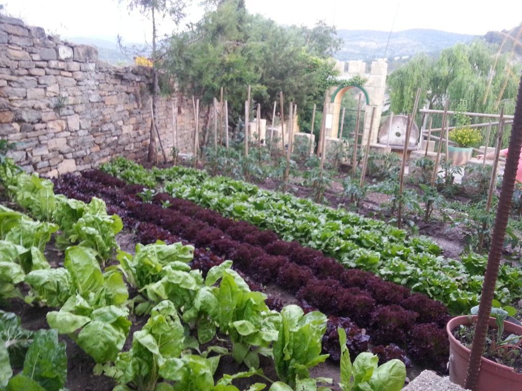 Las Bodegas De Claveria El Humo de Muro Kültér fotó